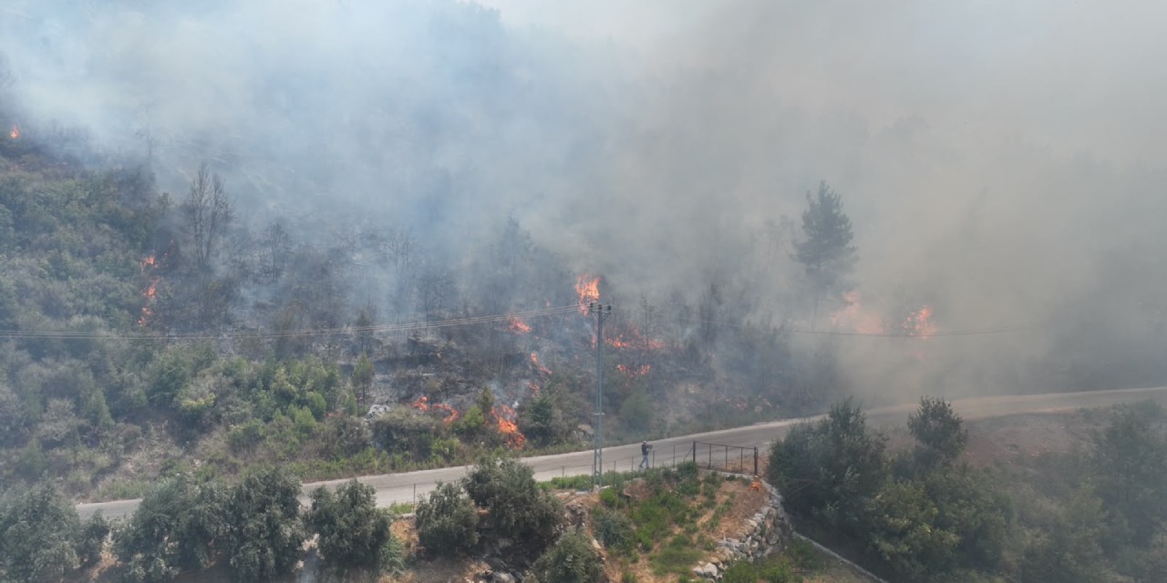 Alanya’daki orman yangınına Antalya Büyükşehir ekiplerinden destek