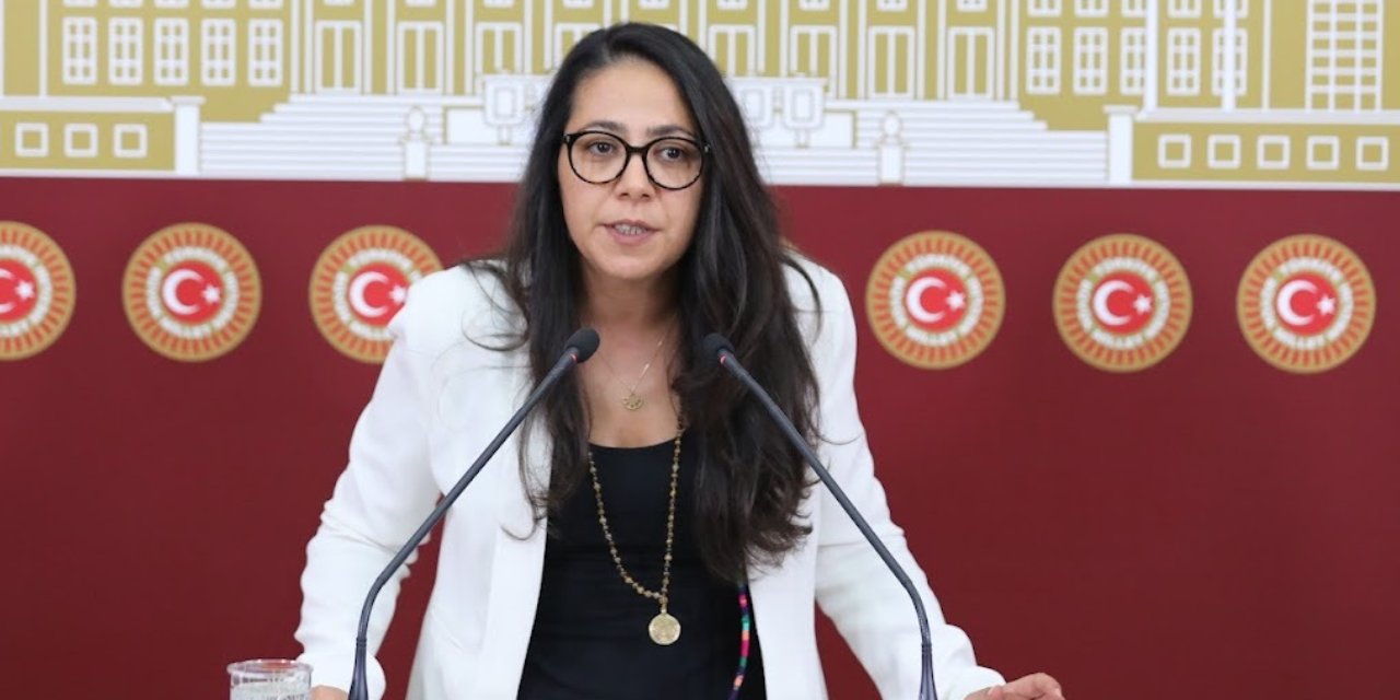 TİP milletvekili Sera Kadıgil hakkında re’sen soruşturma!