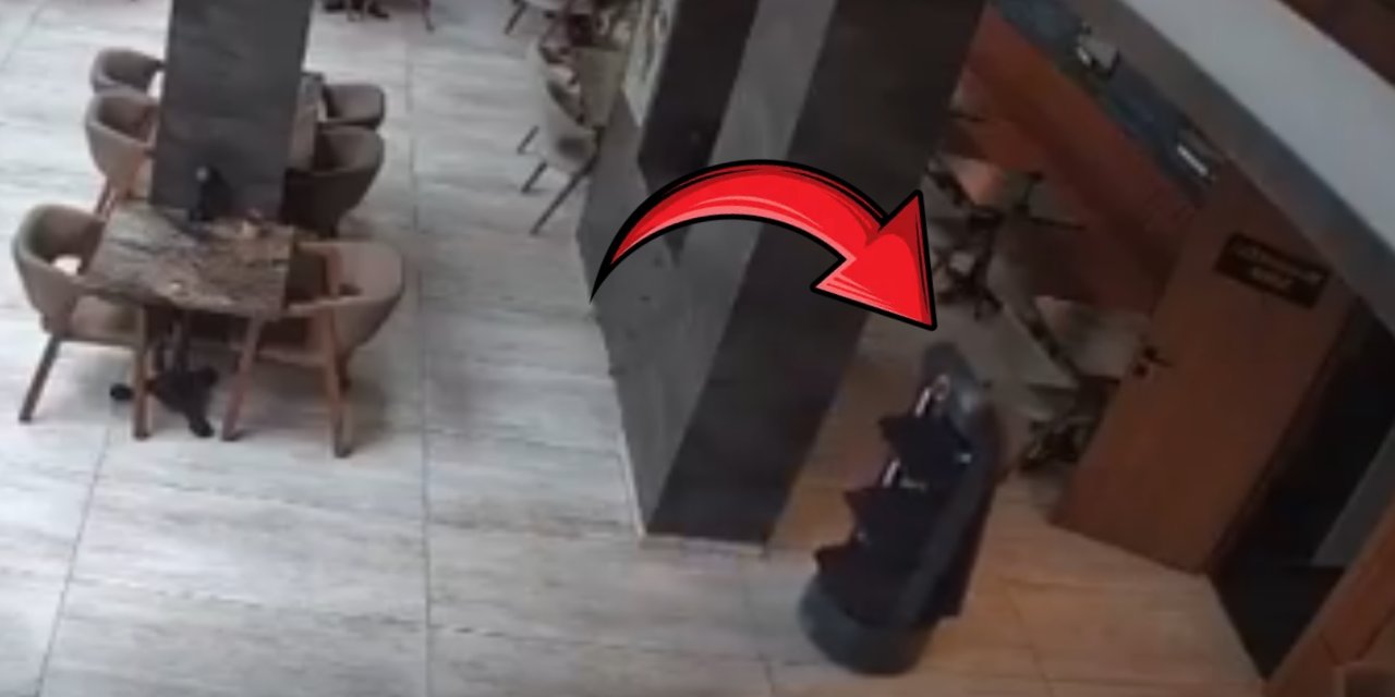 Amasya'da şaşırtan olay! Restoranda görev yapan robot intihar etti