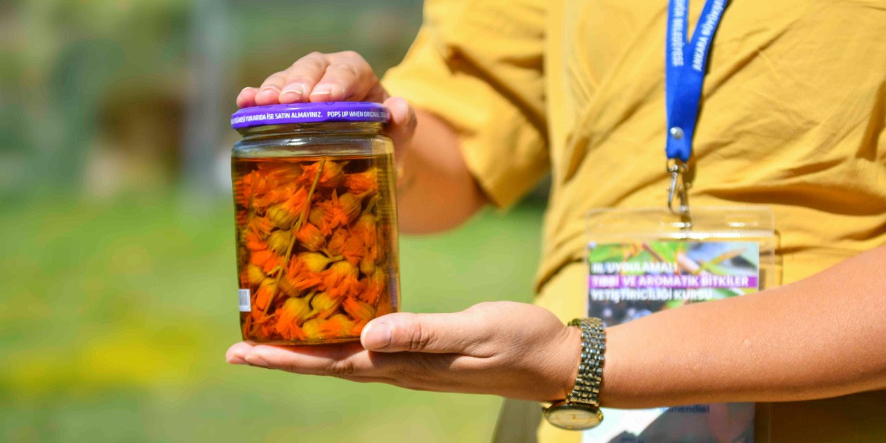 ABB’nin tıbbi ve aromatik bitki kursu tamamlandı
