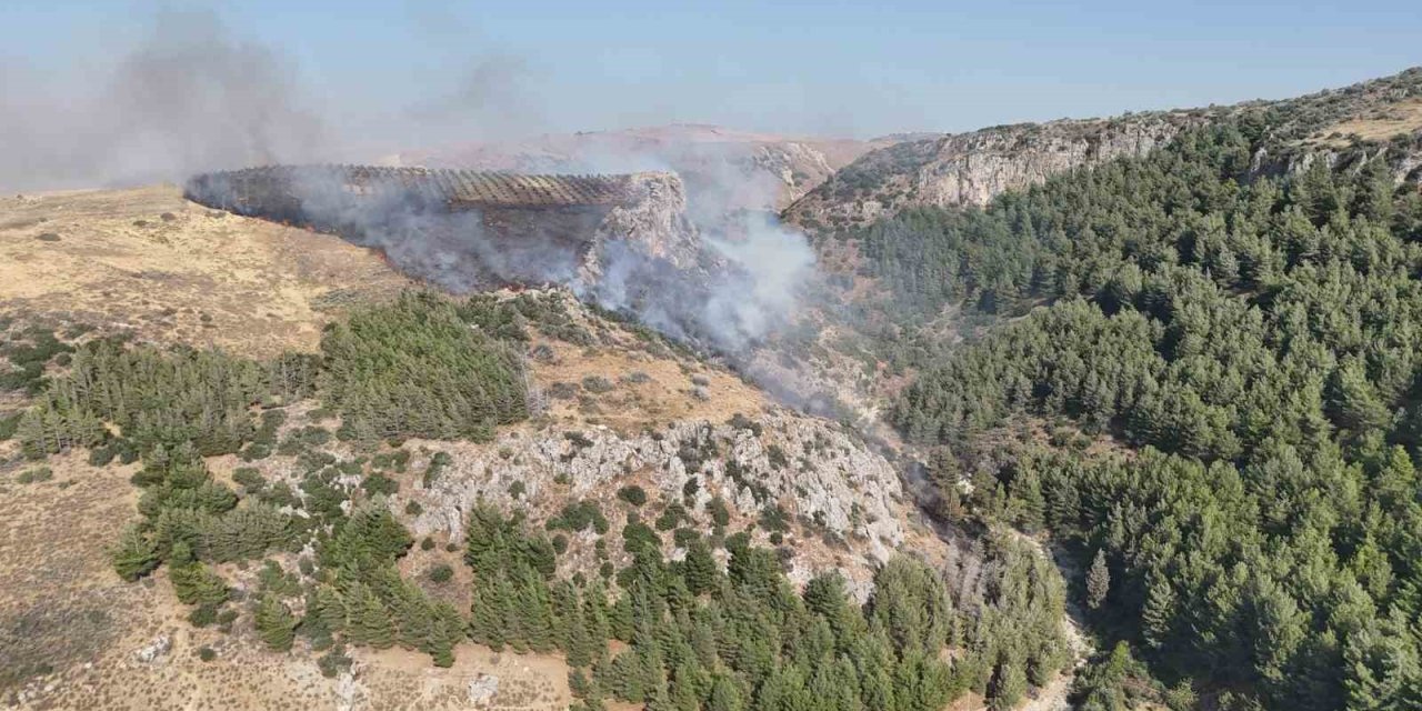 Hatay'da orman yangını