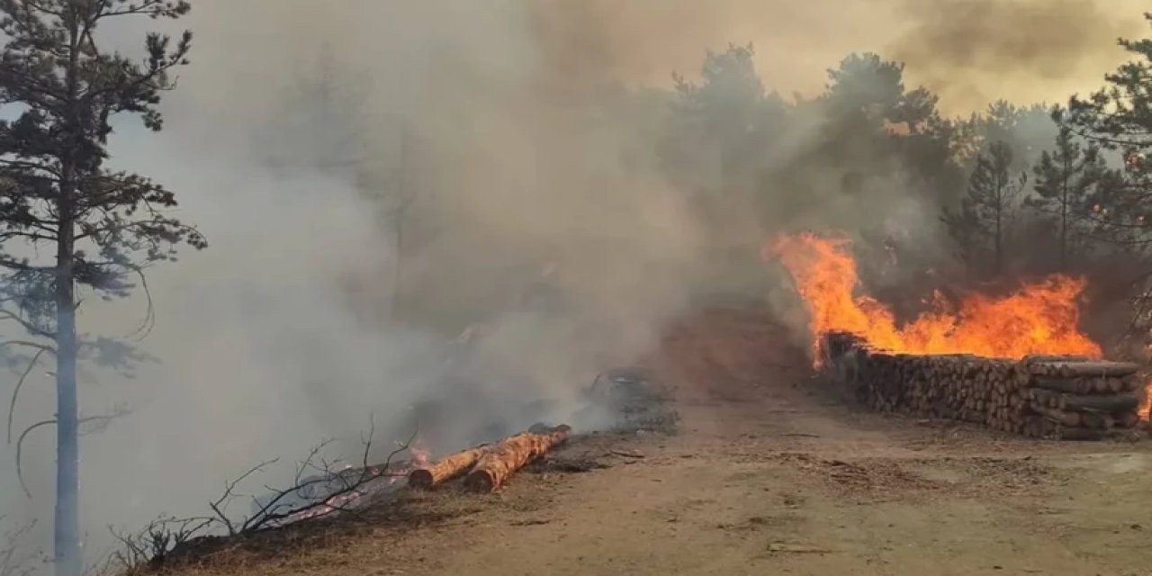 Bolu’da orman yangını