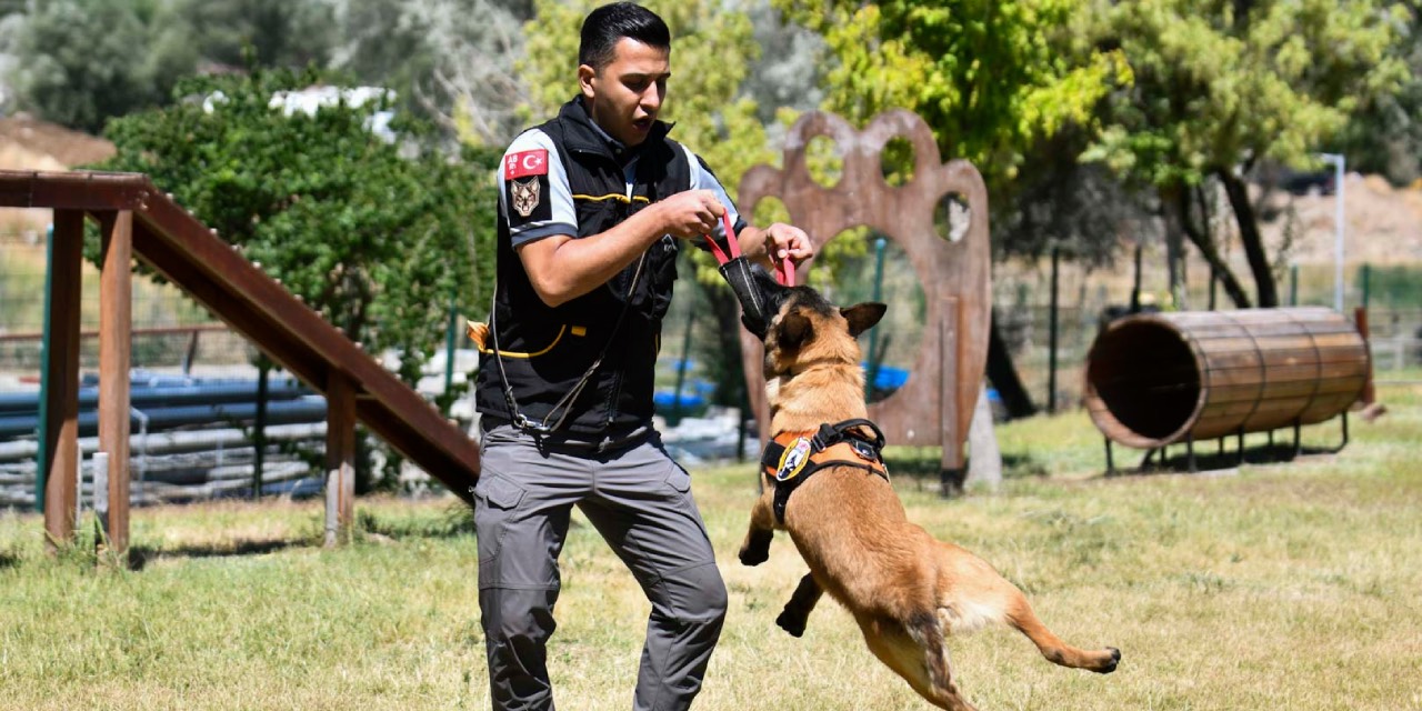 Ankara’da 14 K9 köpeği güvenlik görevinde