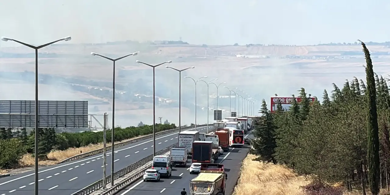 Silivri TEM Otoyolu'nda yangın! Alevler rüzgarın etkisiyle büyüdü