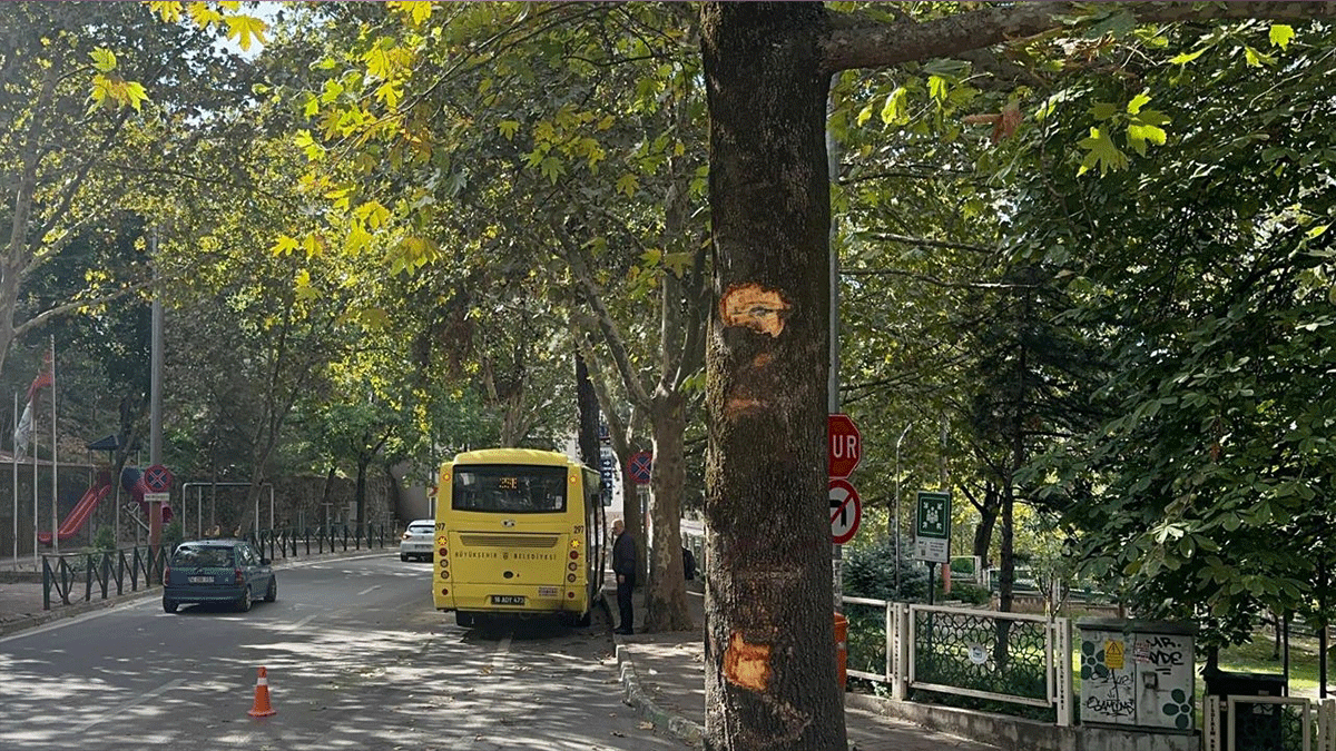 Bursa'da yolcu otobüsü ağaca çarptı: 5 yaralı