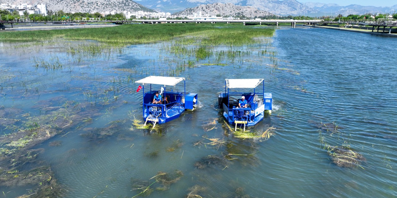 Antalya’da Boğaçayı’nda sucul ot temizliği sürüyor