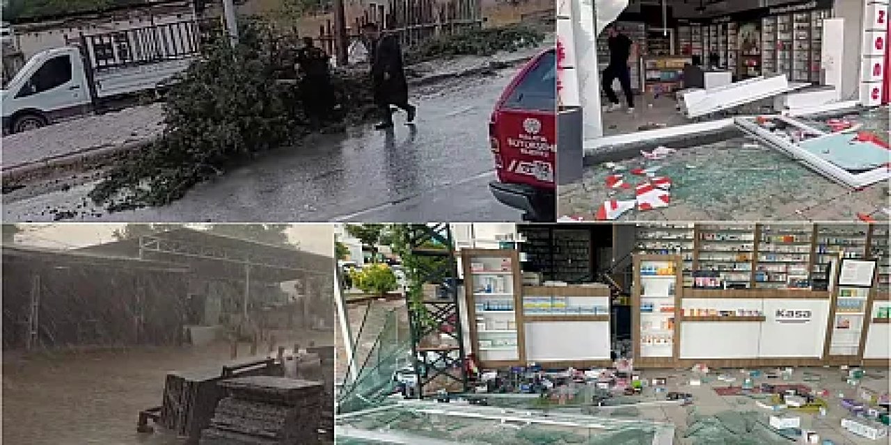 Malatya'da felaket fırtına: İşyerlerin camları patladı ağaçlar devrildi