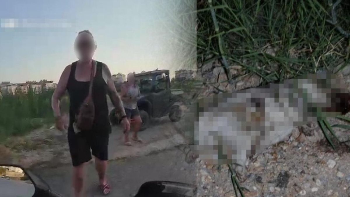 Antalya'da dehşet: Yavru köpeği ezerek öldürdüğü iddia edilen Alman vatandaşı sınır dışı edildi