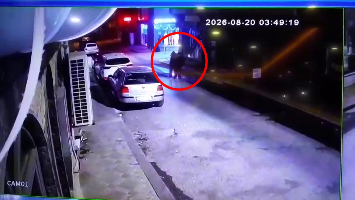 Darıca’da üç kardeşin gizemli ölümü: Tek renk kıyafetle kol kola yürümüşler