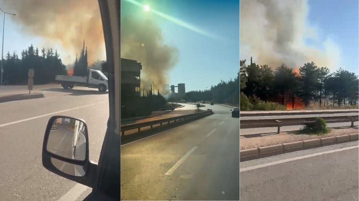 Bursa’da iki noktada orman yangını