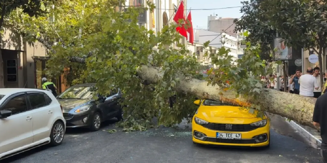 Şişli'de devrilen ağaç iki otomobili hurdaya çevirdi! Yol ulaşıma kapandı