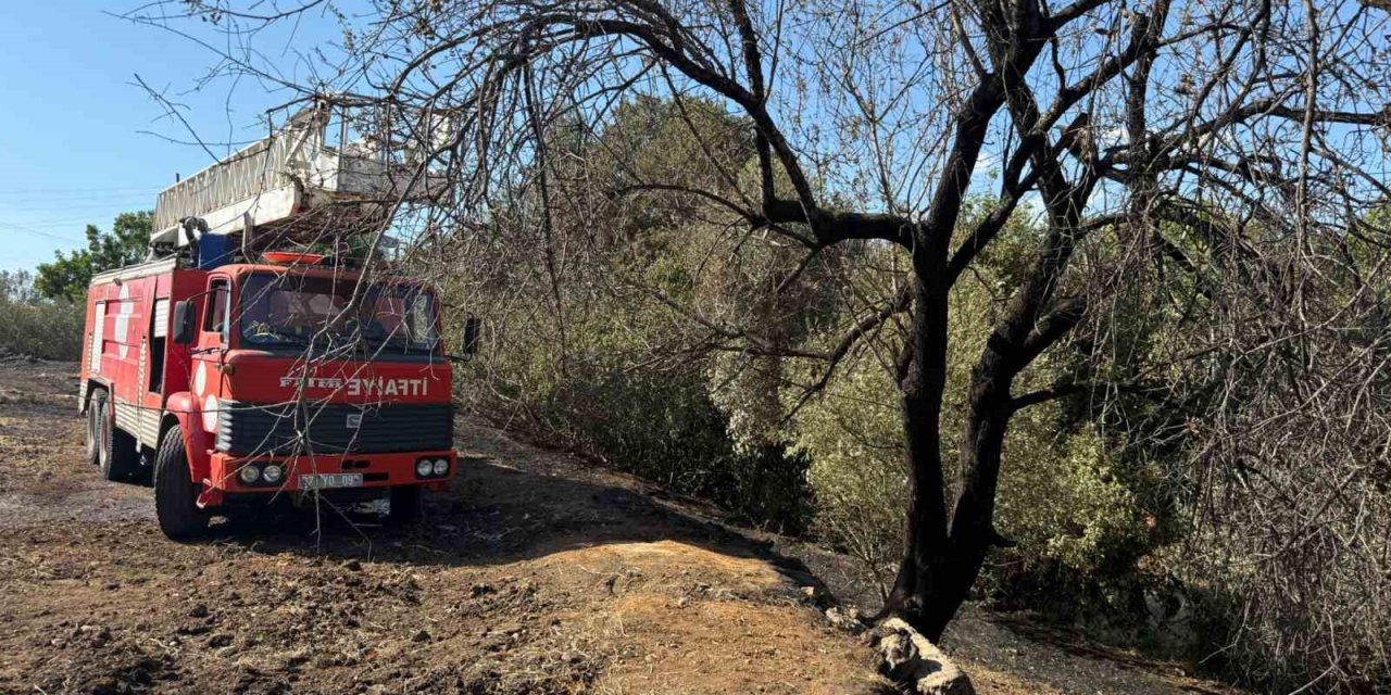 Antalya Serik'te 4 mahallede yangın