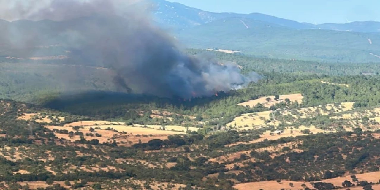 Çanakkale'de orman yangını