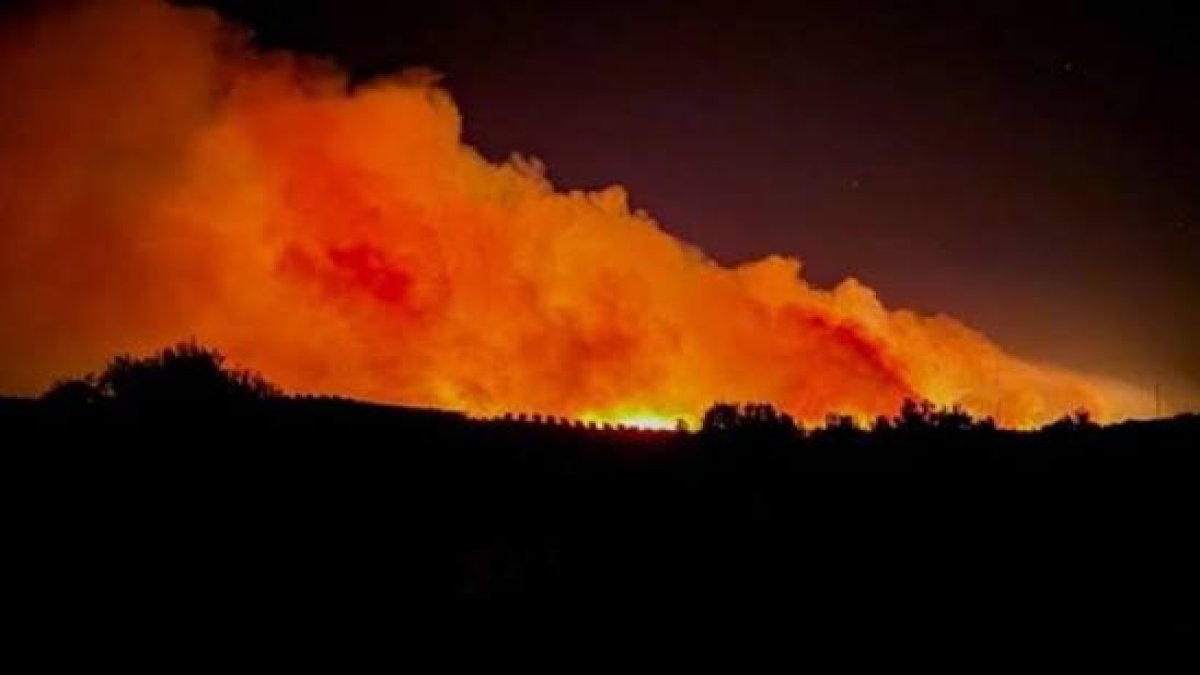 Endonezya alev alev: Zehirli duman sınırları aştı