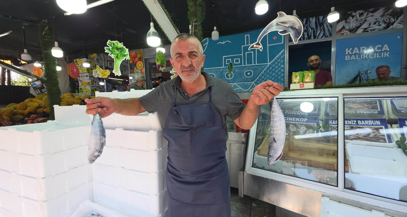 Düzce’de palamut tezgaha indi! Vatandaşlar balıkçıların önünde sıraya girdi