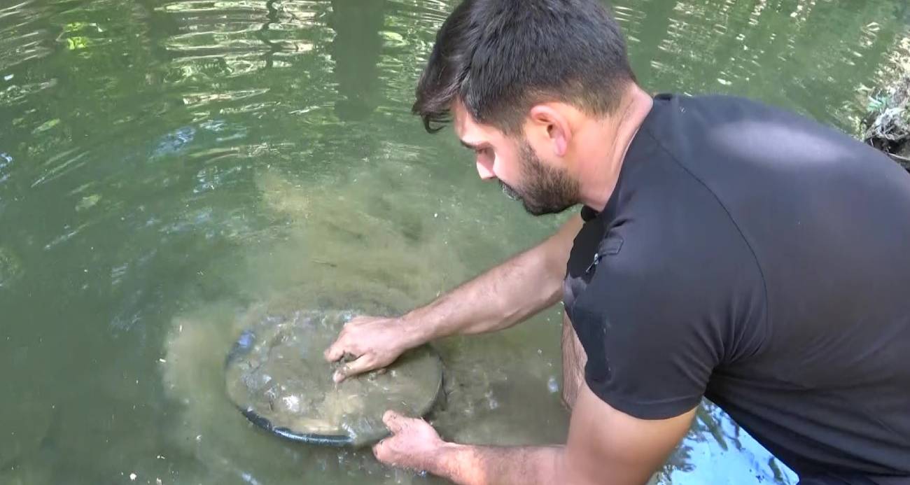 Türkiye’de altın arayan az: Derelerden her gün 5 gram çıkarıyor