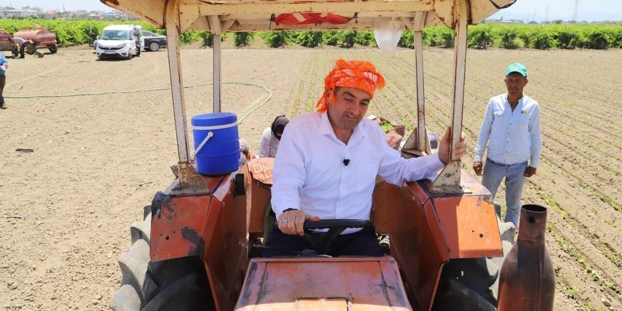 Üzüm hasadı sırasında feci kaza! Belediye Başkanı Ekrem Cıllı elini makineye kaptırdı