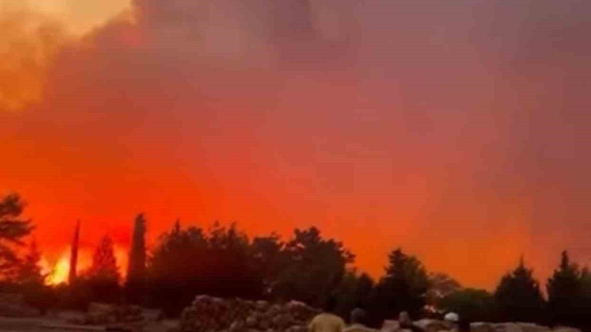 Muğla Menteşe’de orman yangını