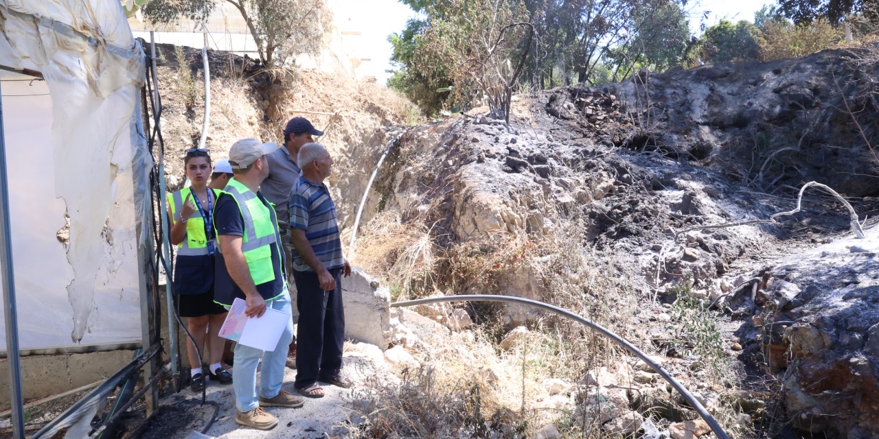 Antalya’da yangından etkilenen bölgelerde hasar tespit çalışmaları sürüyor