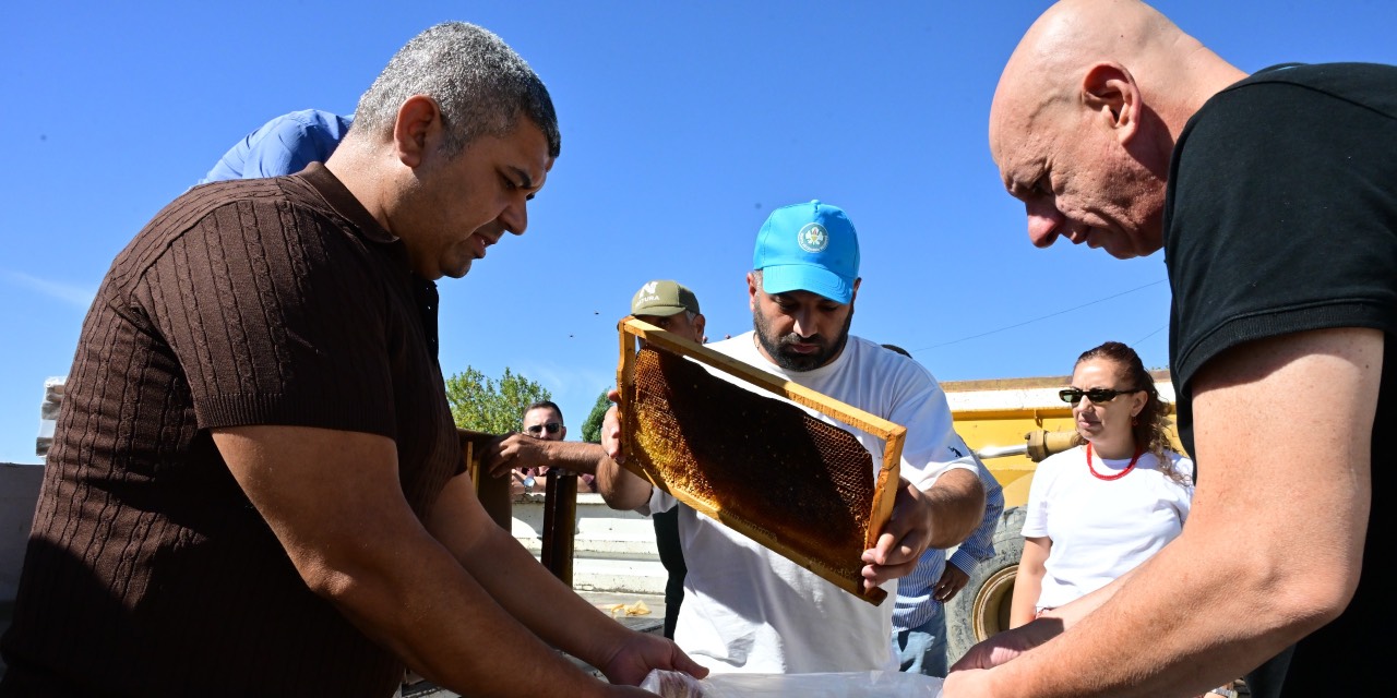 Manisa’da petek güvesine karşı eksi 30 derecelik önlem