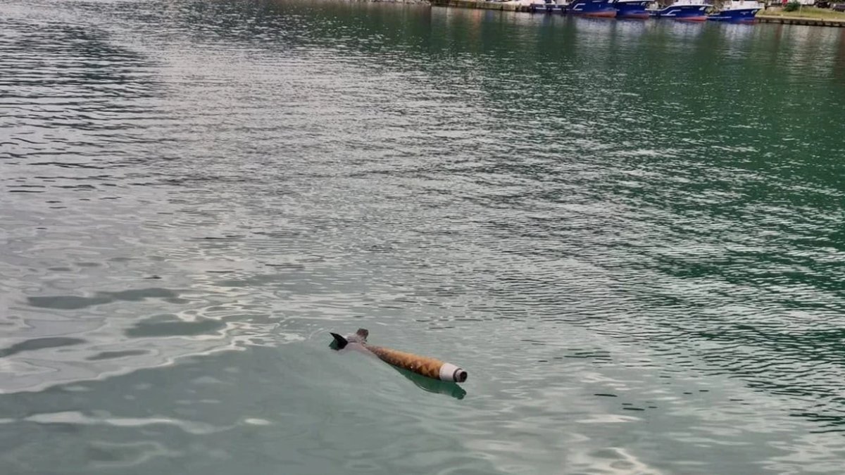 Hopa'da denizde roket alarmı: Sahil Güvenlik harekete geçti