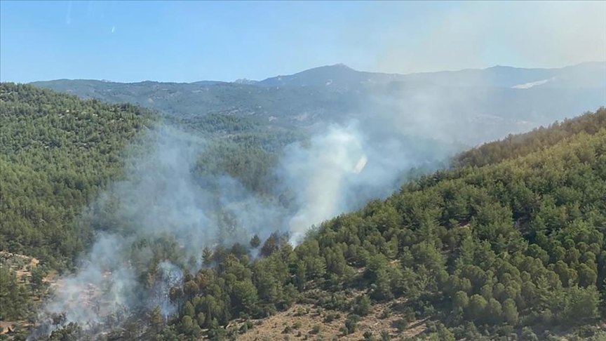 Muğla’da çıkan orman yangını söndürüldü