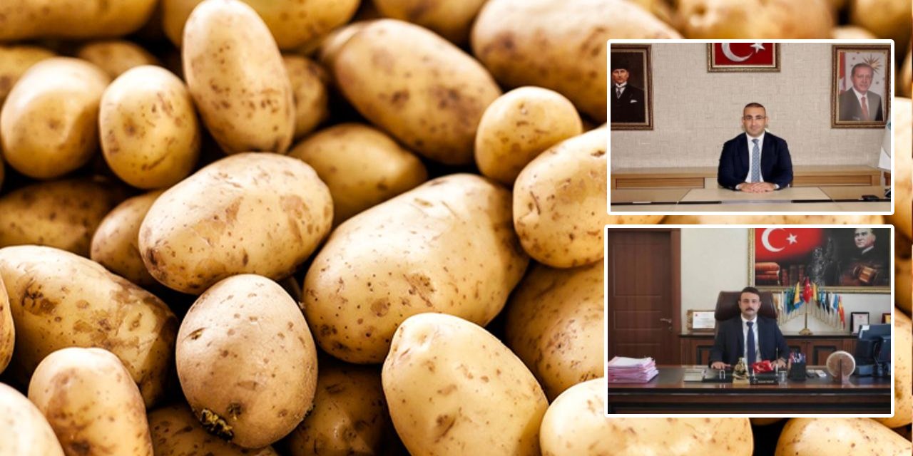 İhtiyaç sahipleri için alınmıştı! 400 ton patates buhar oldu: Müdür tutuklandı, kaymakam ve başsavcının görev yeri değişti