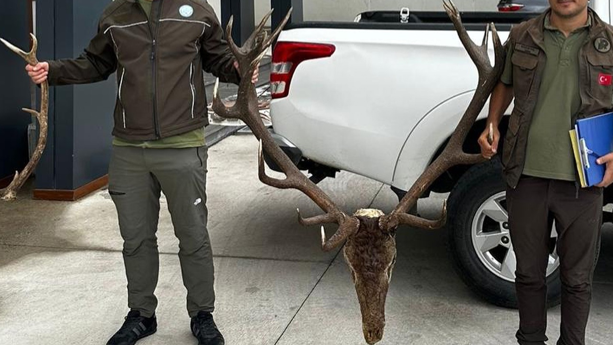 Bolu'da yasa dışı avcılığa ağır darbe: 5 kişiye 500 bin lira ceza