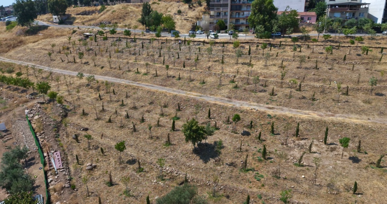 İzmir’de 1,5 milyon metrekarelik alan yeşillendiriliyor