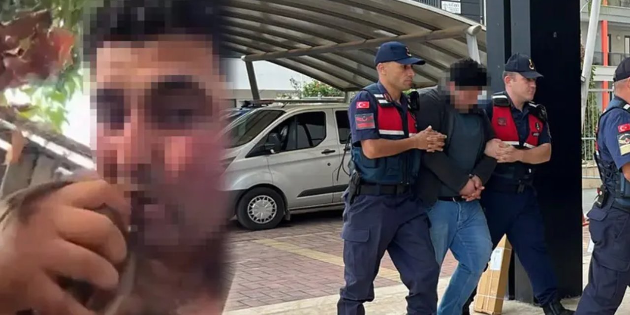 Antalya'da kan donduran görüntüler! Kuşun kafasını ısırarak kopardı