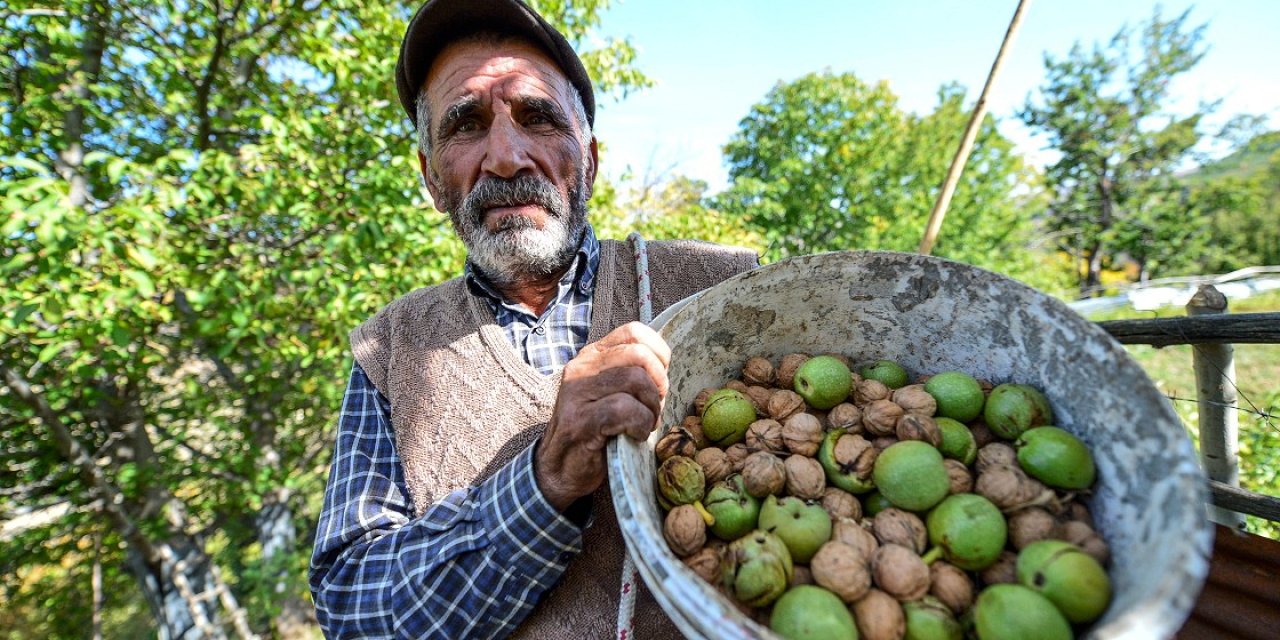 Kolesterolün en büyük düşmanı! Omega-3 kaynağına dev zam geldi: Kilosu 450 liradan satılacak