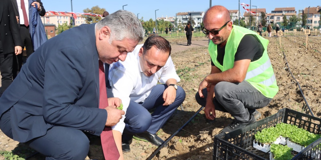 Bornova’nın kent bostanı modeli Yalova’da hayata geçti