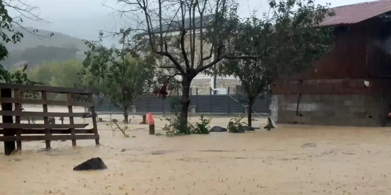 Sakarya'da da sel felaketi: Bir mahalle suya gömüldü 60 bin tavuk telef oldu