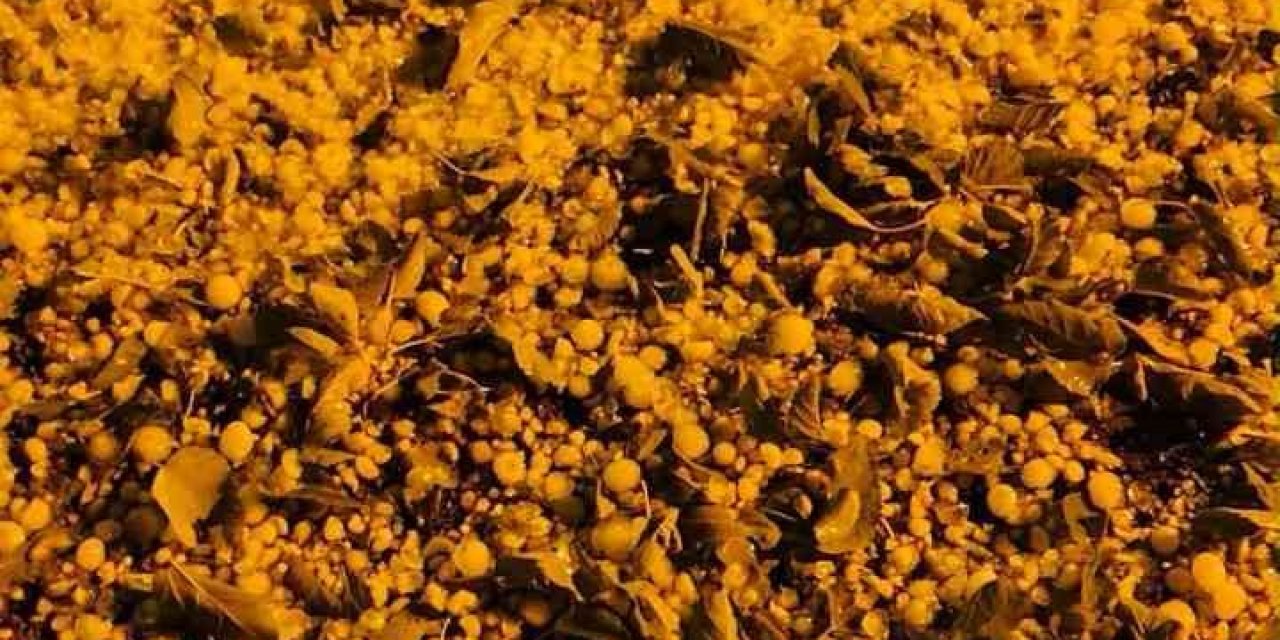 Elazığ’da ceviz büyüklüğünde dolu yağışı
