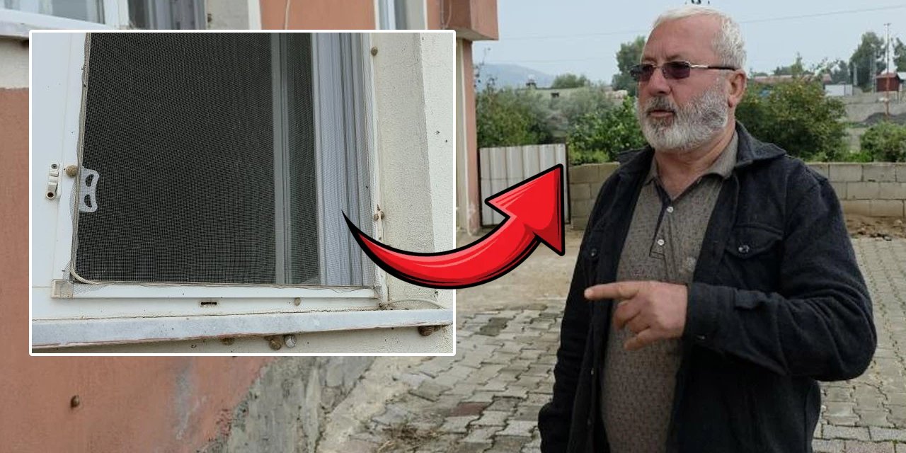 Depremden sonra başladı! Hatay'da evleri ve bahçeleri istila etti: Meyve sebzeleri tükettiler