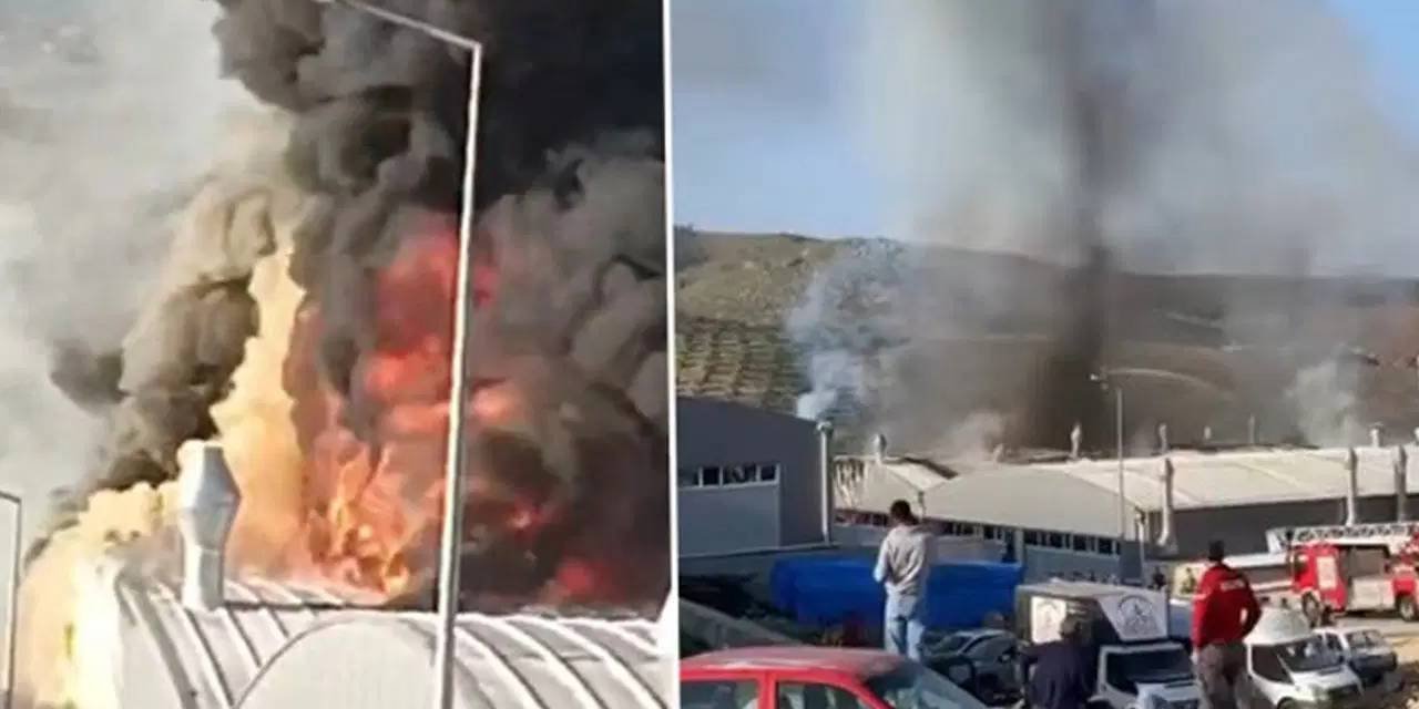 Antakya’da mobilya fabrikasında yangın çıktı! İtfaiye ekipleri olay yerinde