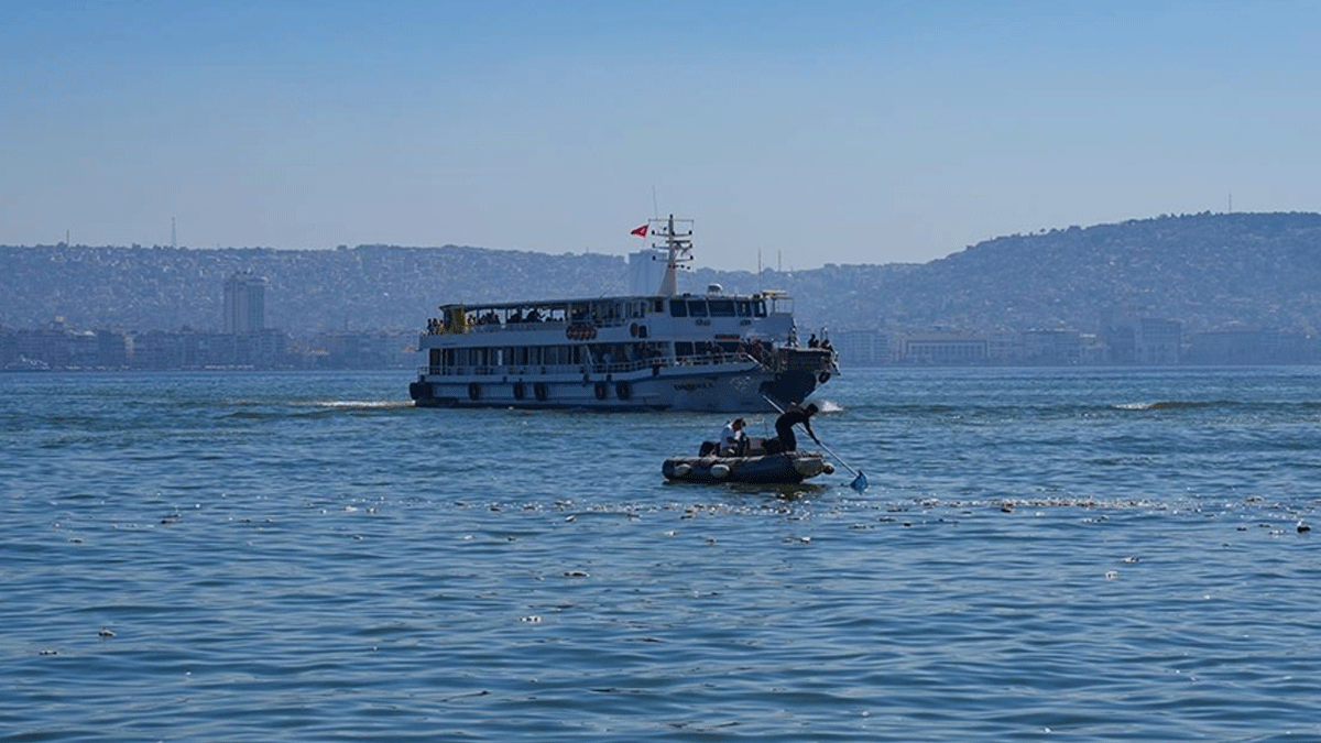 İzmir Körfezi'nde kirlilik sürüyor: Balık ölümlerinde artış