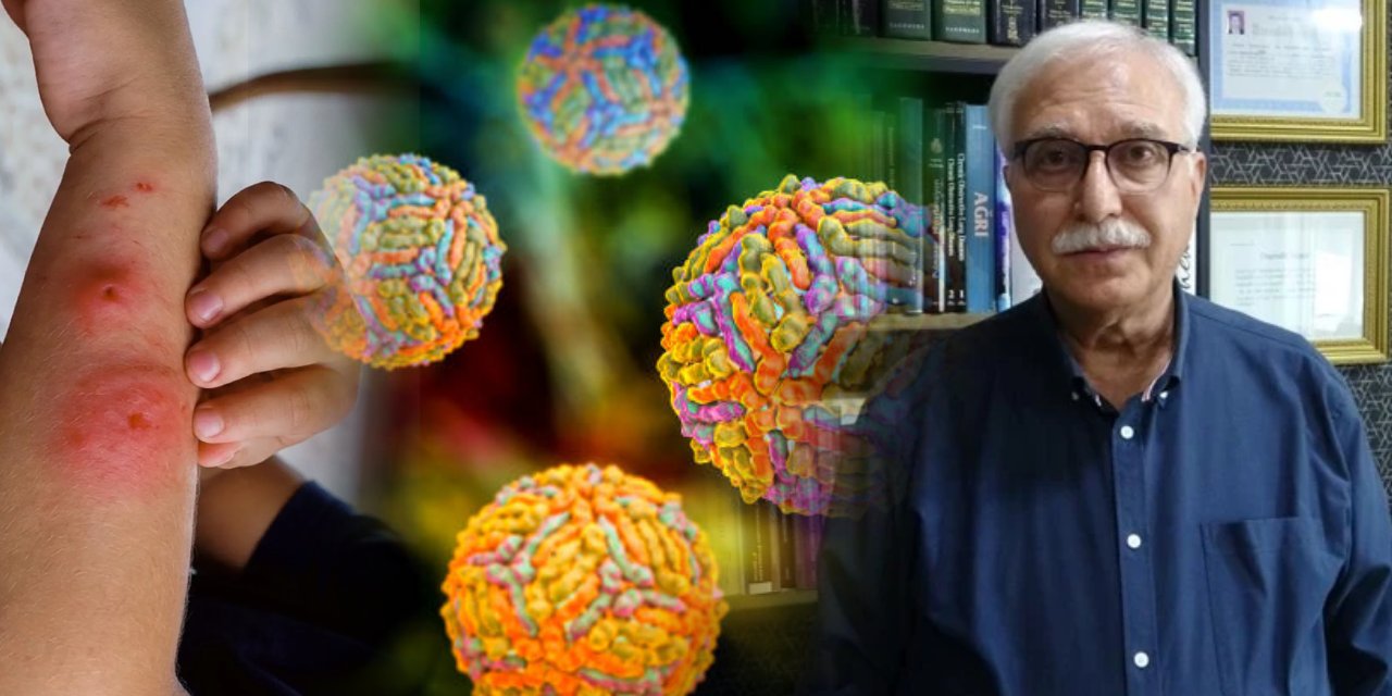 Türkiye’yi tehdit eden ölümcül hastalık belli oldu: Hem aşısı hem de ilacı yok