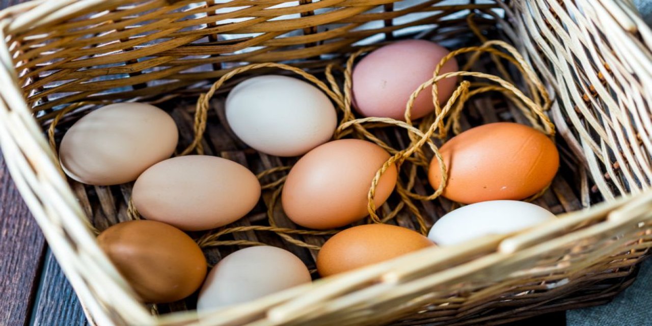 Beyaz yumurta mı daha sağlıklı kahverengi mi? Sürekli tartışılıyordu: Sonunda farkı ortaya çıktı
