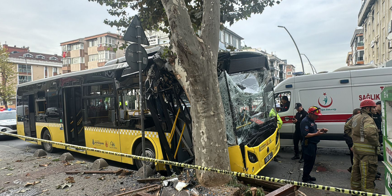 İstanbul'da İETT otobüsü ağaca çarptı: Yaralılar var