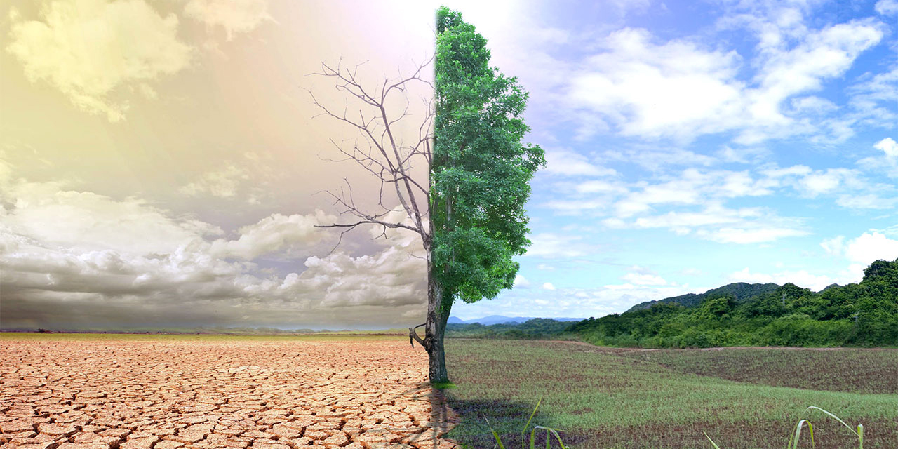 UNEP: 1,5 derece hedefi tehlikede, hemen harekete geçin