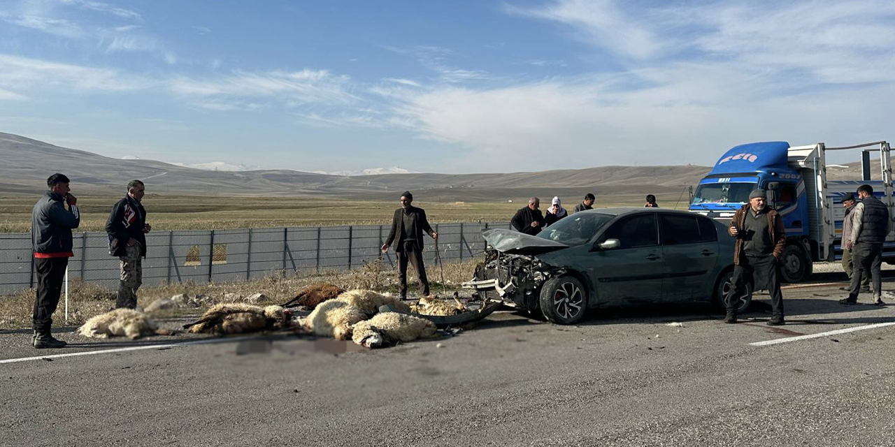 Ağrı'da otomobil koyun sürüsüne çarptı: 20 hayvan telef oldu