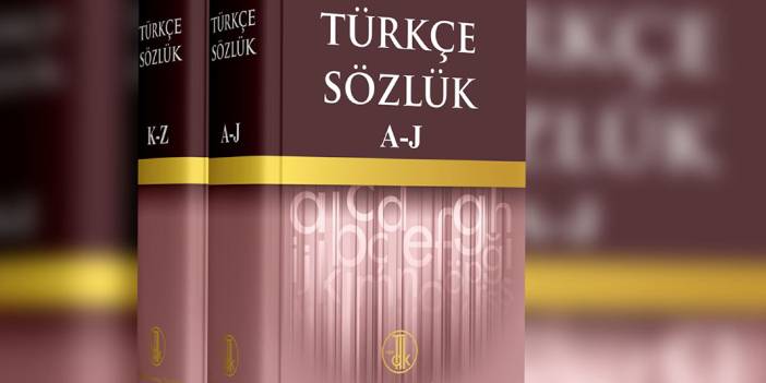 Çalışmalara başlanmıştı: TDK o dört kelimenin anlamını sözlükten kaldırdı