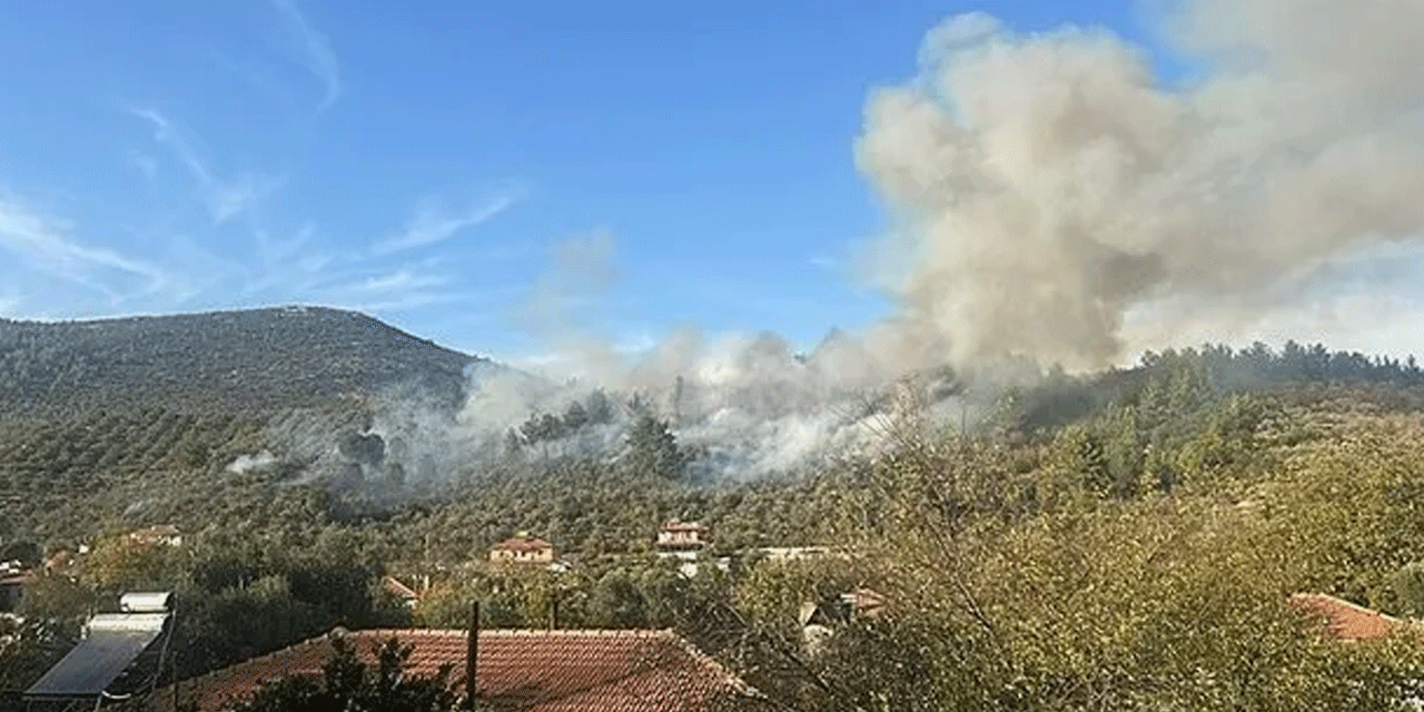 Muğla'da orman yangını