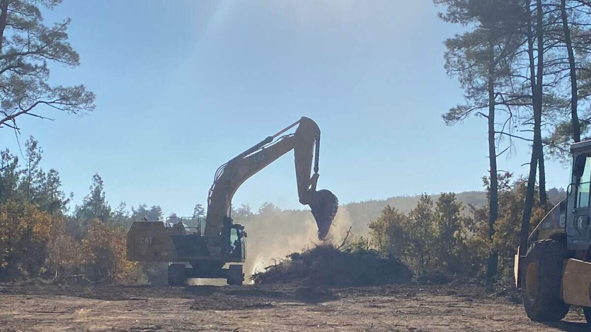 Cengiz Holding'in kıyımına CHP'den tepki