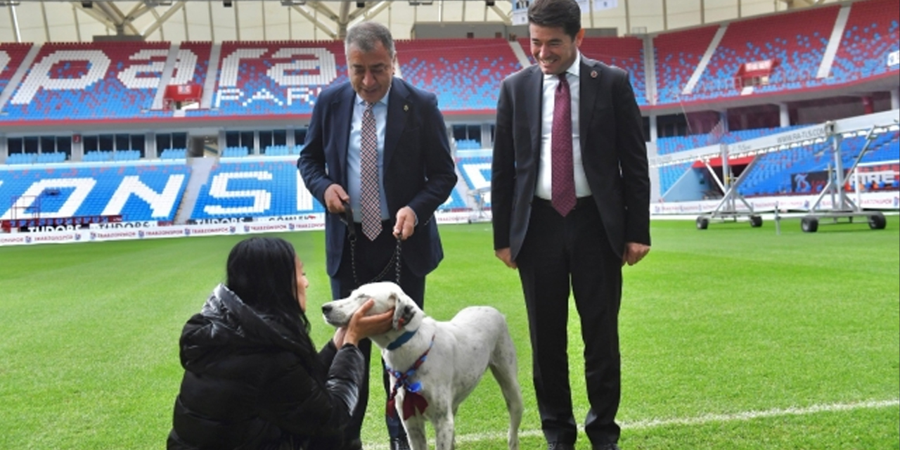 Trabzonspor, Fenerbahçe maçında sahaya giren köpeği sahiplendi