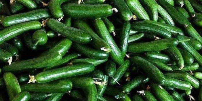 ABD'de salatalıklarda salmonella alarmı: 30 kişi hastalandı, raflardan toplatılıyor