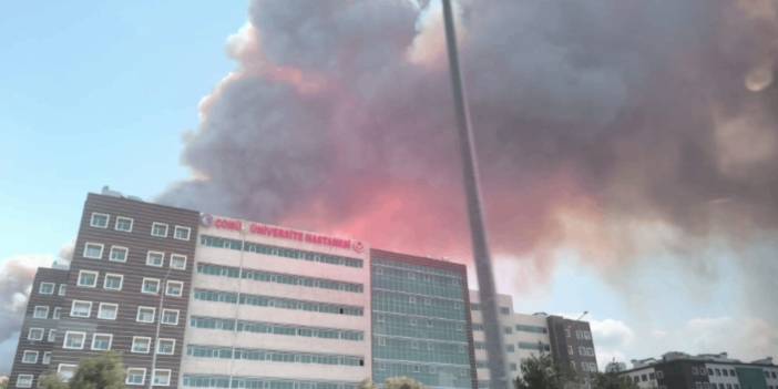 Çanakkale Valisi'nden yangınla ilgili açıklama