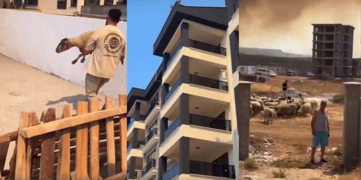 Çanakkale'de yangından hayvanlarıyla kaçan vatandaş bir sitenin bahçesine alınmadı