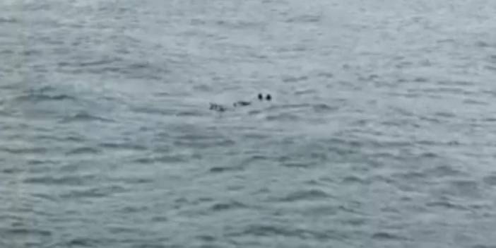 İstanbul Boğazı’nda erkek cesedi bulundu